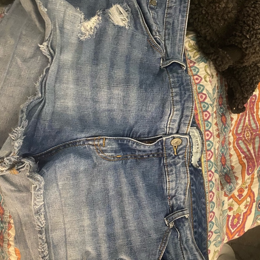 Torrid Shorts